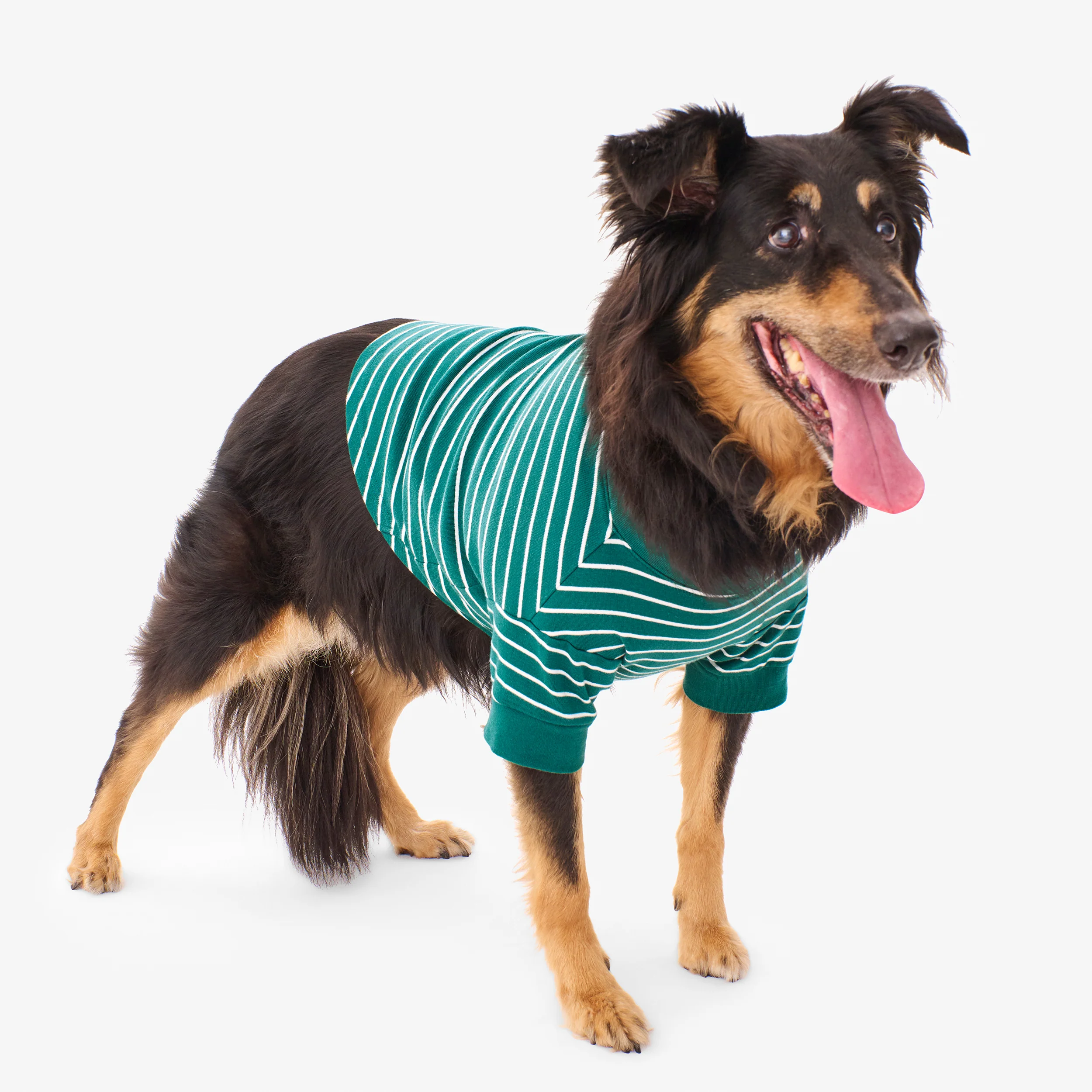 Clearance pet organic pj top in stripe - Image 5